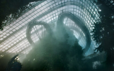 Kurzinterview 01 – Julia Steinigeweg