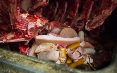 Kurzinterview 07 – Manuela Braunmüller