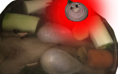 Kurzinterview 06 – Ricarda Fallenbacher