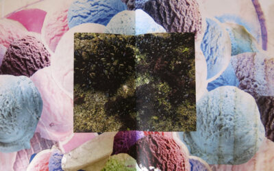 Kurzinterview 11 – Vera Drebusch