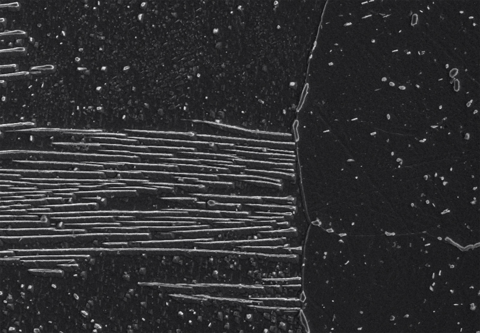 Kurzinterview 21 – Martin Volman