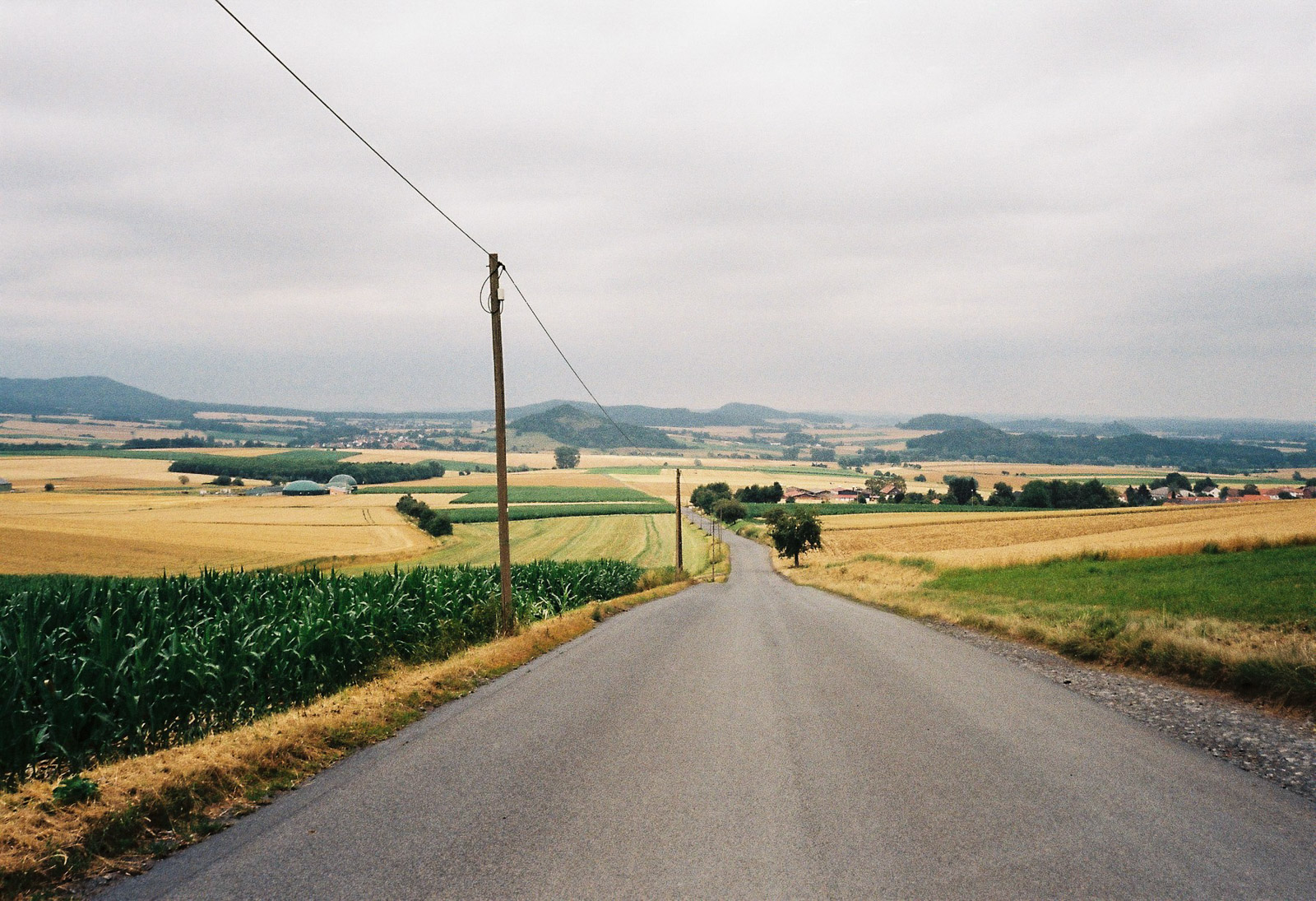 Kurzinterview 26 – Anna Bergold