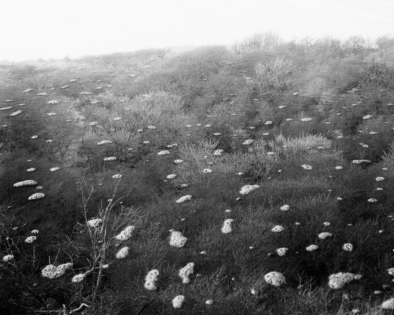 Kurzinterview 31 – Sophie Allerding