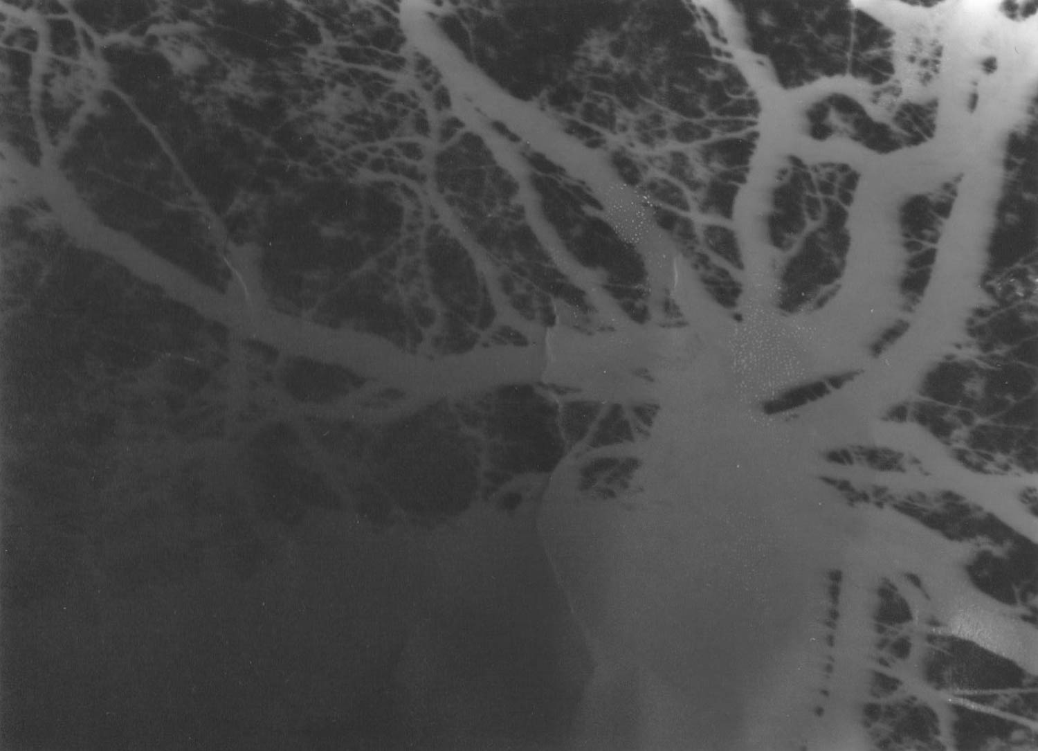 Coole Workshops, coole Burg