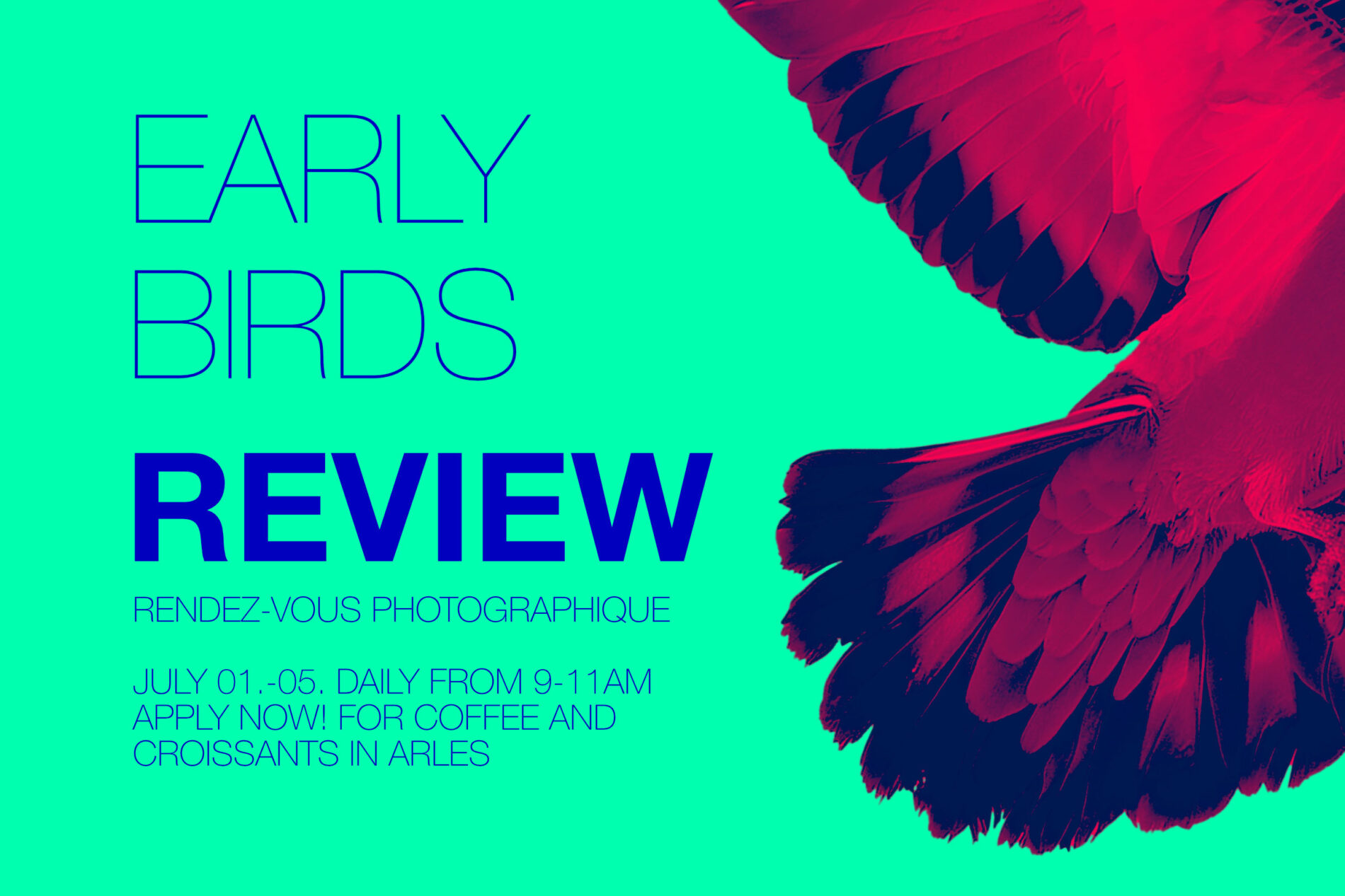 Ein roter Vogel auf grünem Hintergrund. Der Text ist blau.