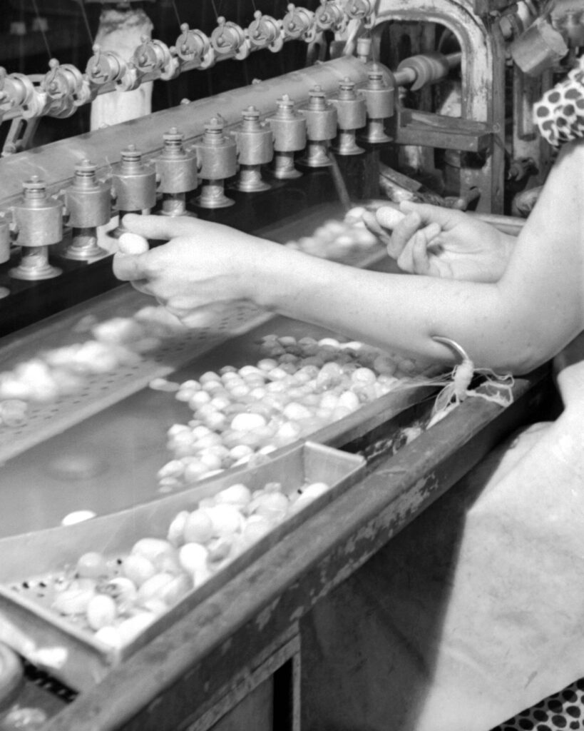 Ramona Schacht "Sanfte Hände"