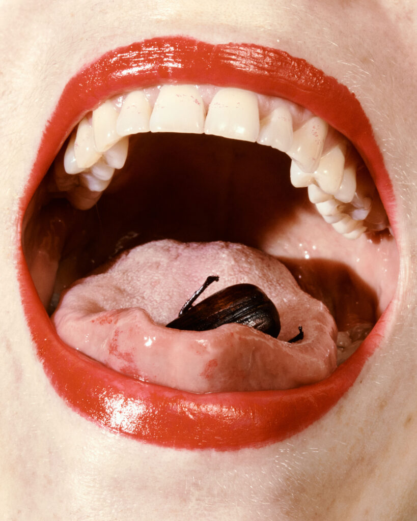 AFF x fountains & friends: HYPNOTIC STATE